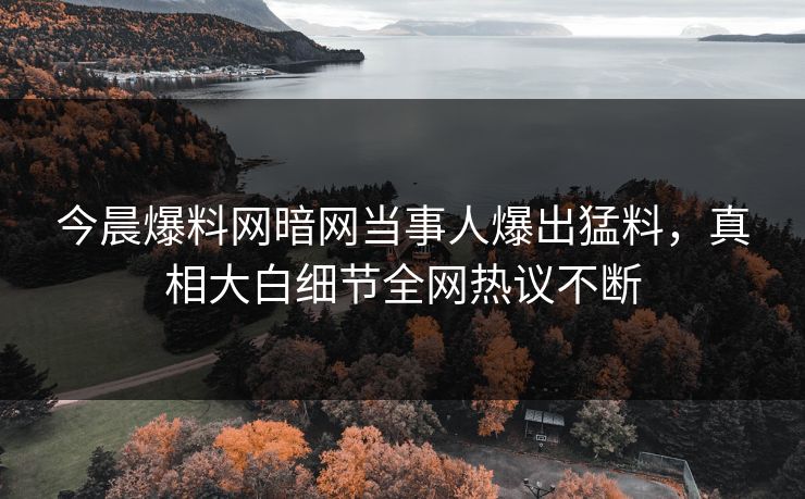 今晨爆料网暗网当事人爆出猛料，真相大白细节全网热议不断