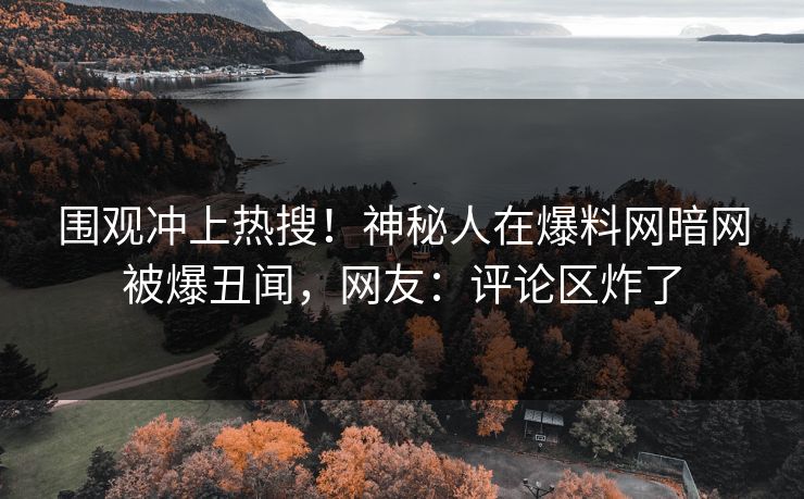 围观冲上热搜！神秘人在爆料网暗网被爆丑闻，网友：评论区炸了