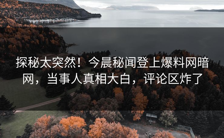 探秘太突然！今晨秘闻登上爆料网暗网，当事人真相大白，评论区炸了