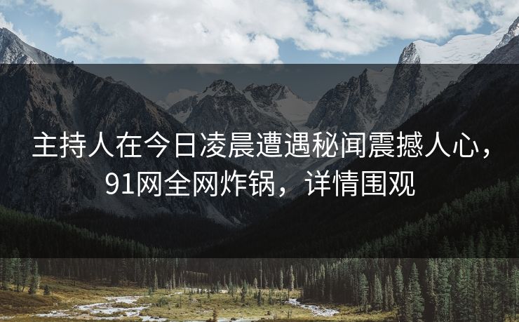 主持人在今日凌晨遭遇秘闻震撼人心，91网全网炸锅，详情围观